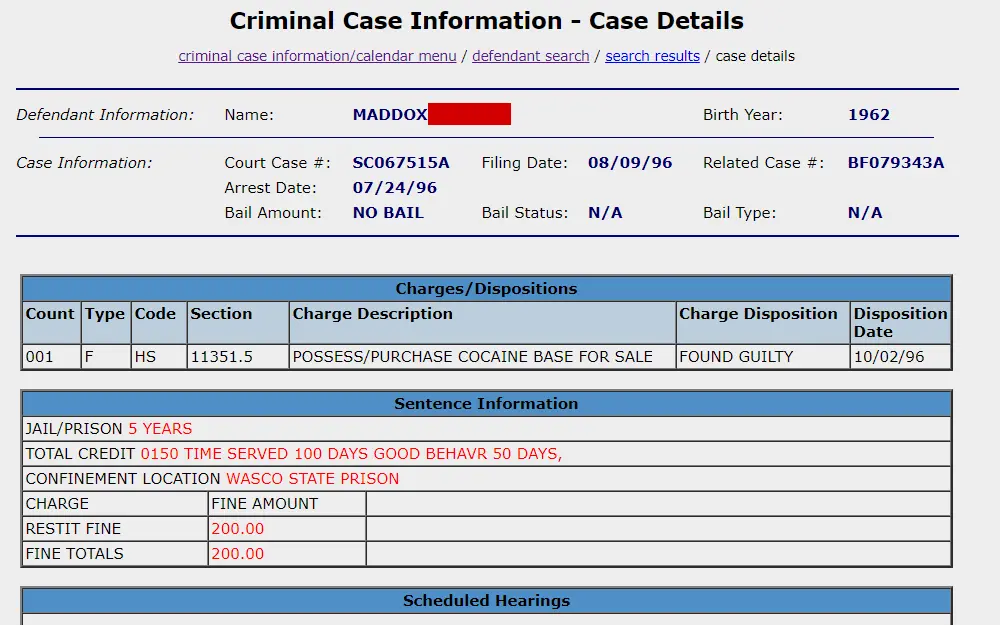 A screenshot of the criminal data search feature displays information including the defendant's name, hearing location, and type.
