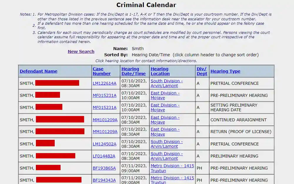 A screenshot of the search tool where electronic access to court data is available and can be executed with or without registering.