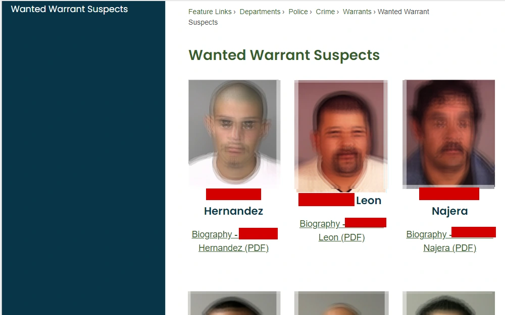 A screenshot of the roster that displays mugshots, offenders’ names, physical descriptions, and the crimes they are wanted for.
